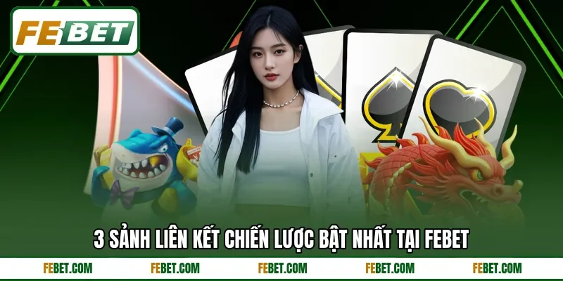3 sảnh liên kết chiến lược bật nhất tại FEBET 3 sảnh liên kết chiến lược bật nhất tại FEBET