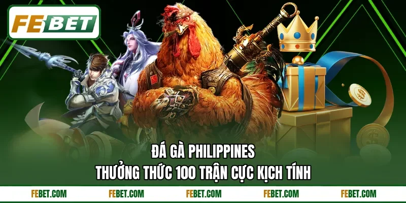 Đá Gà Philippines | Thưởng Thức 100 Trận Cực Kịch Tính