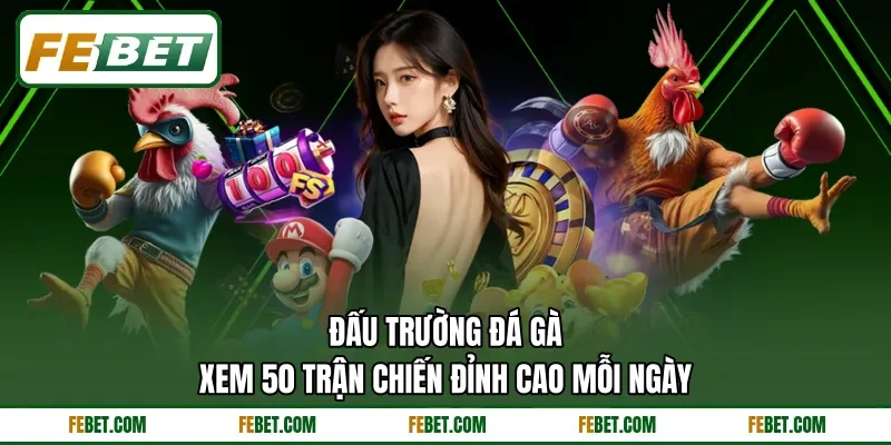 Đấu Trường Đá Gà | Xem 50 Trận Chiến Đỉnh Cao Mỗi Ngày