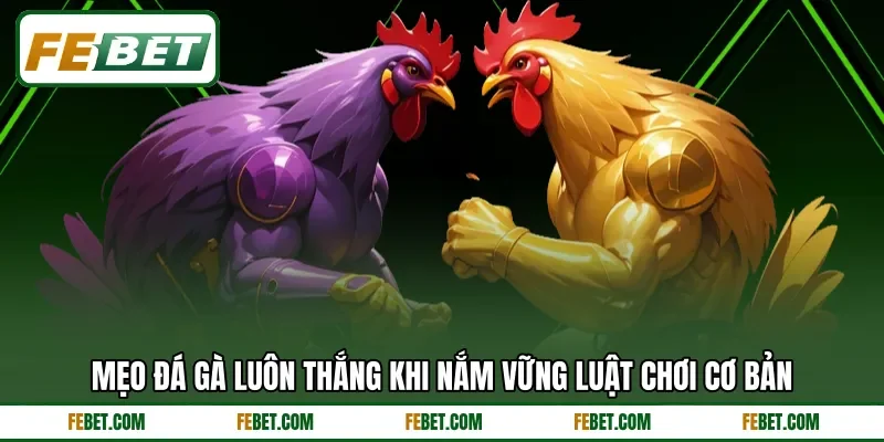 Mẹo đá gà luôn thắng khi nắm vững luật chơi cơ bản Mẹo đá gà luôn thắng khi nắm vững luật chơi cơ bản