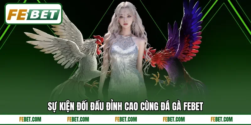 Sự kiện đối đầu đỉnh cao cùng đá gà FEBET