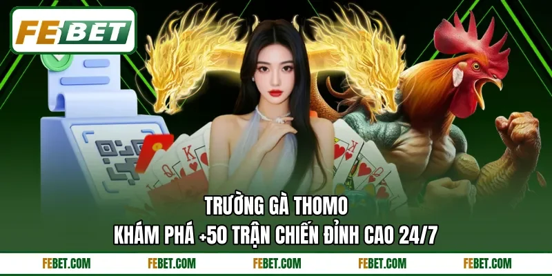 Trường Gà Thomo | Khám Phá +50 Trận Chiến Đỉnh Cao 24/7