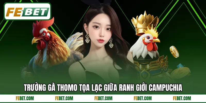 Trường gà Thomo tọa lạc giữa ranh giới Campuchia